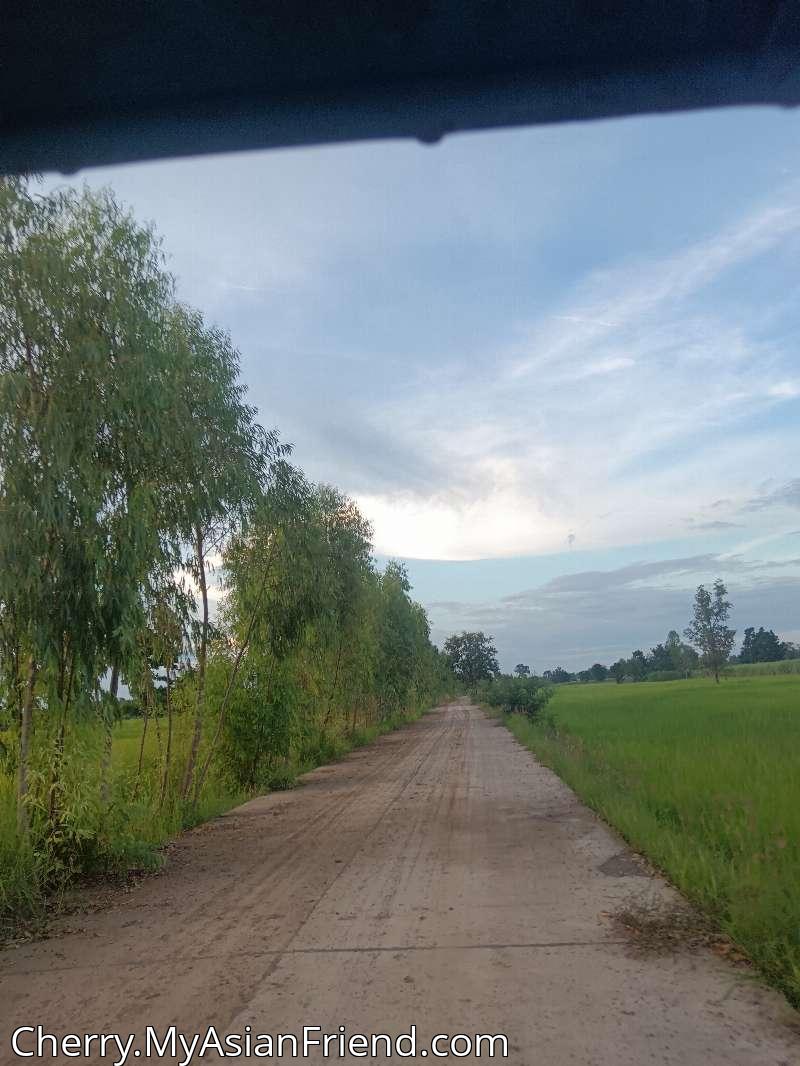 Cherry's personal blog photo 1 added Wednesday the 15th of October 2025