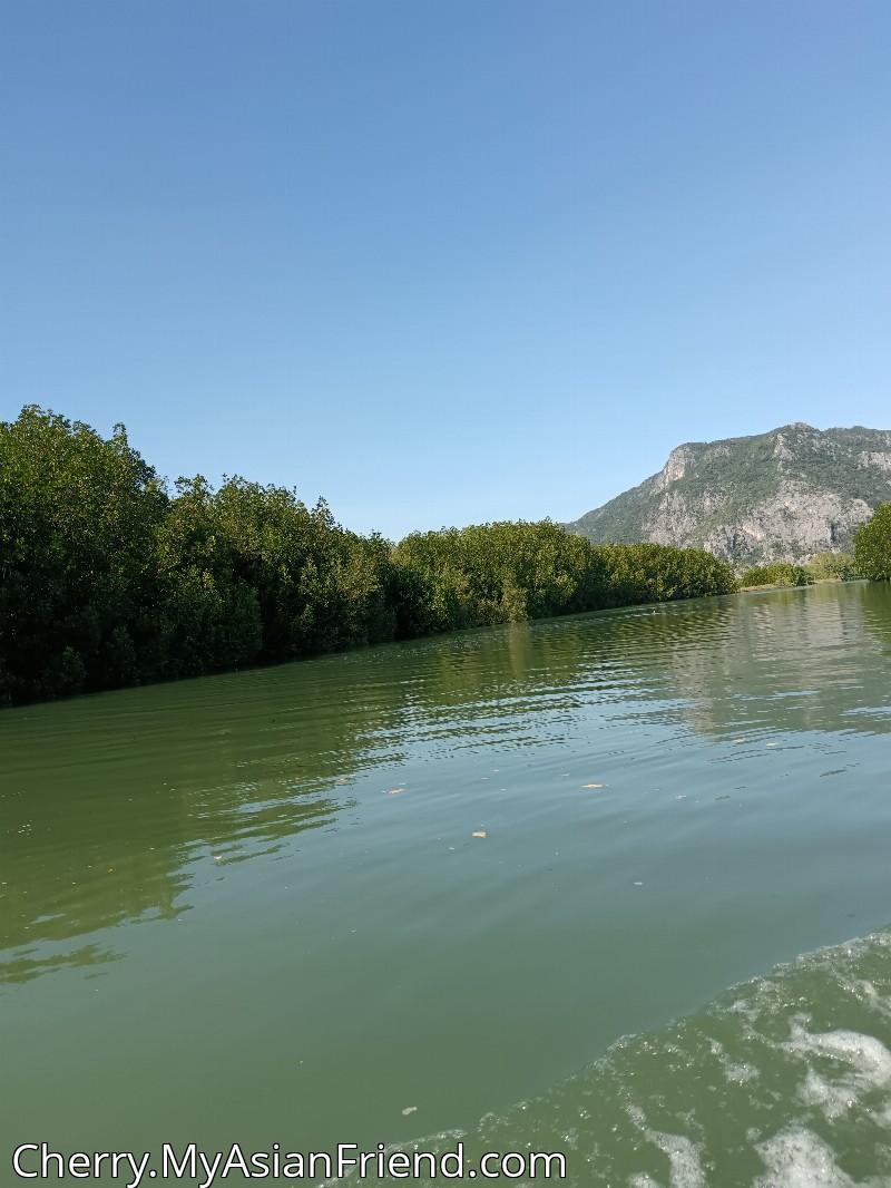 Cherry's personal blog photo 1 added Monday the 8th of December 2025